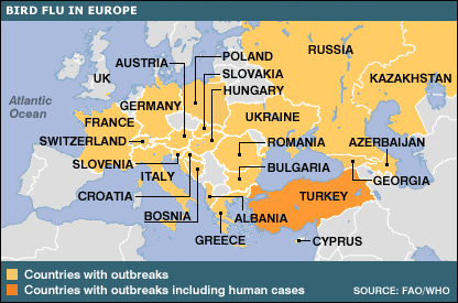 _41419874_birdflu_europe5_map416.gif