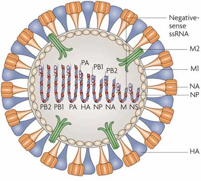 fig2.jpg